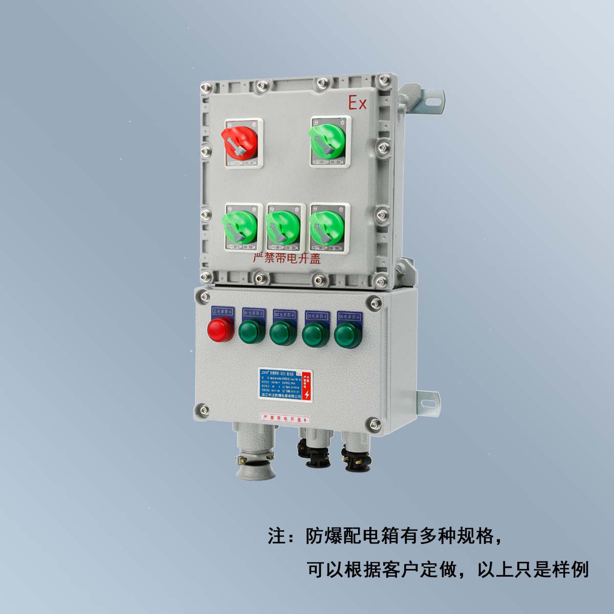 BXM(D)58 系列防爆照明(动力)配电箱 (ⅡB、ⅡC、DIP)