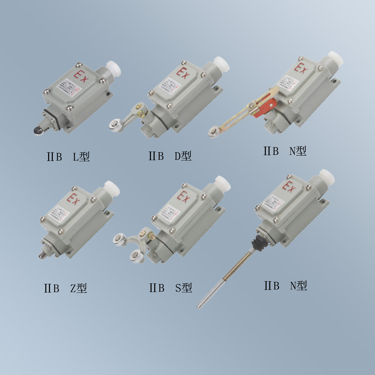BLX5 系列防爆行程开关 (ⅡB)